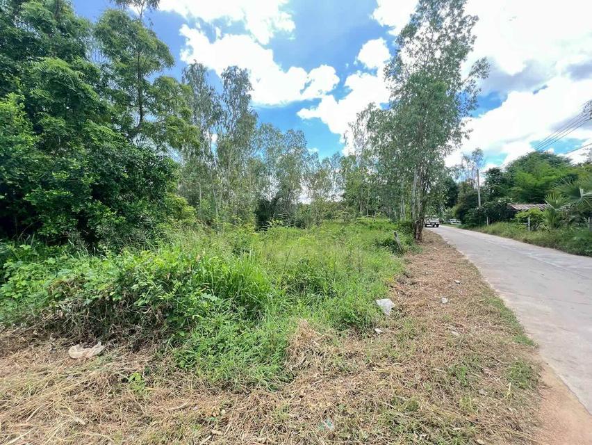 💥ขายที่ดินห้วยใหญ่ พัทยา เหมาะสำหรับลงทุน💥 5