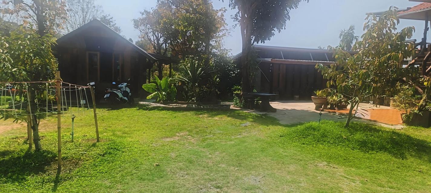 🔥 หลุดจอง! ที่ดิน 6 ไร่ + บ้าน + สวนทุเรียนให้ผลแล้ว (จ.เพชรบูรณ์) 7