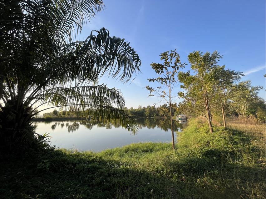 ขายที่ดินติดเขื่อนลำปาว กาฬสินธุ์ พื้นที่รวม 55 ไร่ เหมาะพัฒนารีสอร์ทหรือโครงการท่องเที่ยว 9