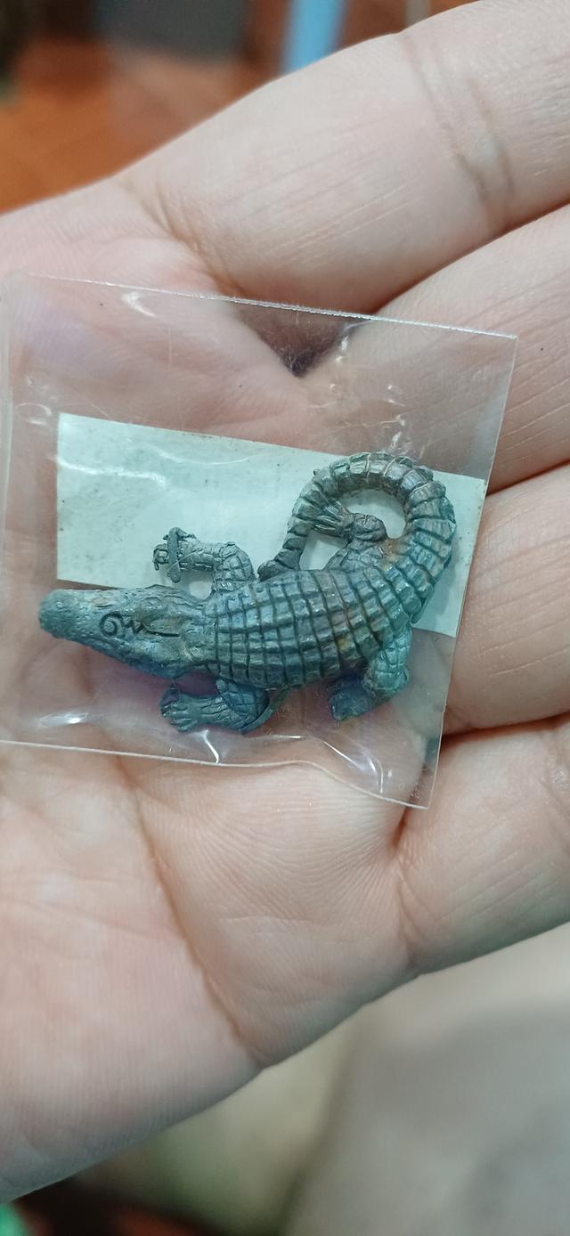 จระเข้หลวงพ่อสนิท วัดลำบัวลอย ปี67 รุ่นไตรมาส