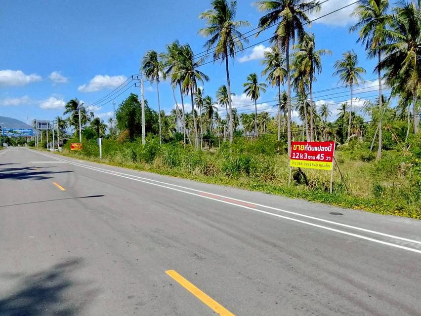 ขายด่วน! ที่ดินทำเลทอง ติดถนนใหญ่ ทับสะแก-หาดวนกร 12 ไร่เศษ เหมาะพัฒนาโครงการ น่าลงทุน 5