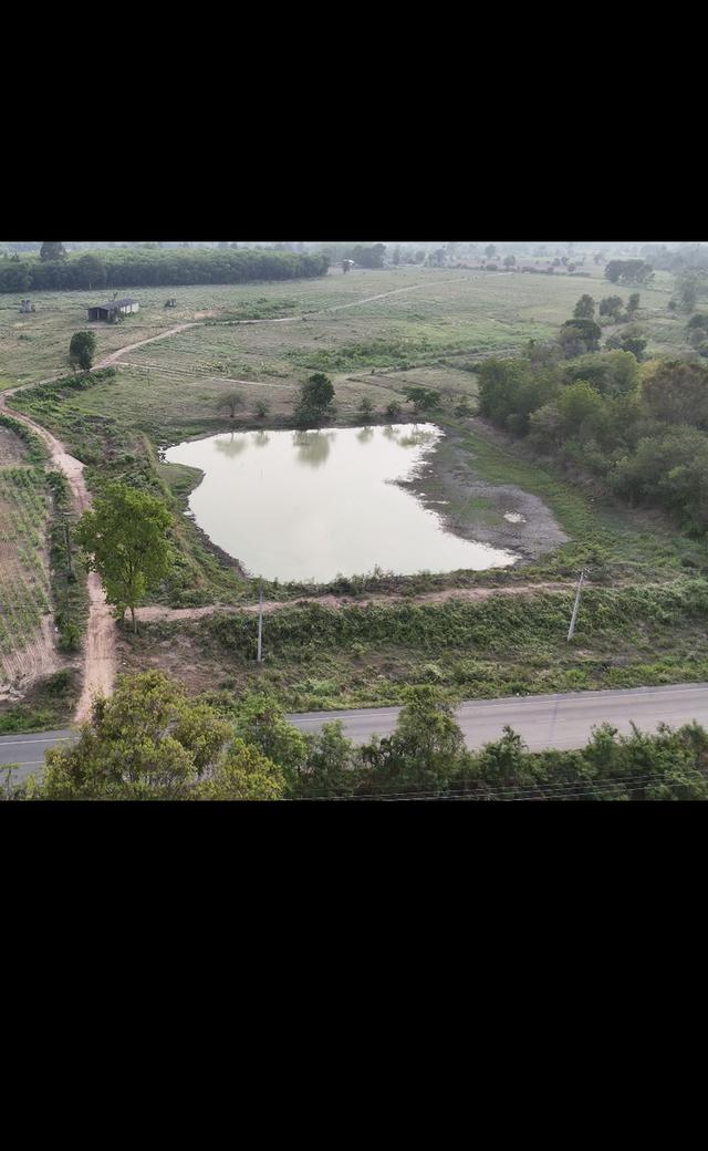 ขายที่ดินแปลงใหญ่อุดร100ไร่ 13