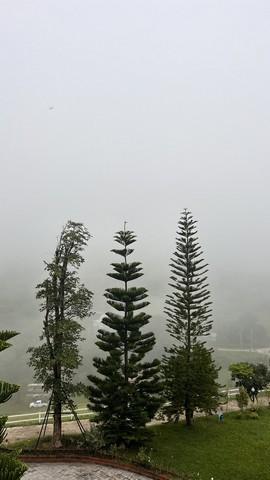 ที่ดินสวยวิวเขา ..หนึ่งเดียวบนเขาค้อ  2