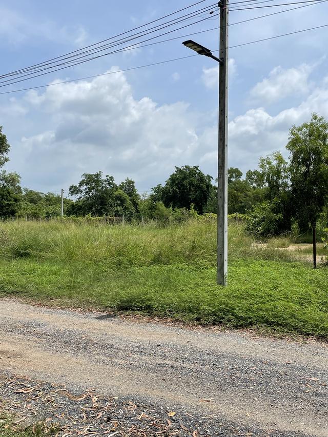 ขายที่ดิน ถมแล้วพร้อมสร้างบ้านได้เลย 2