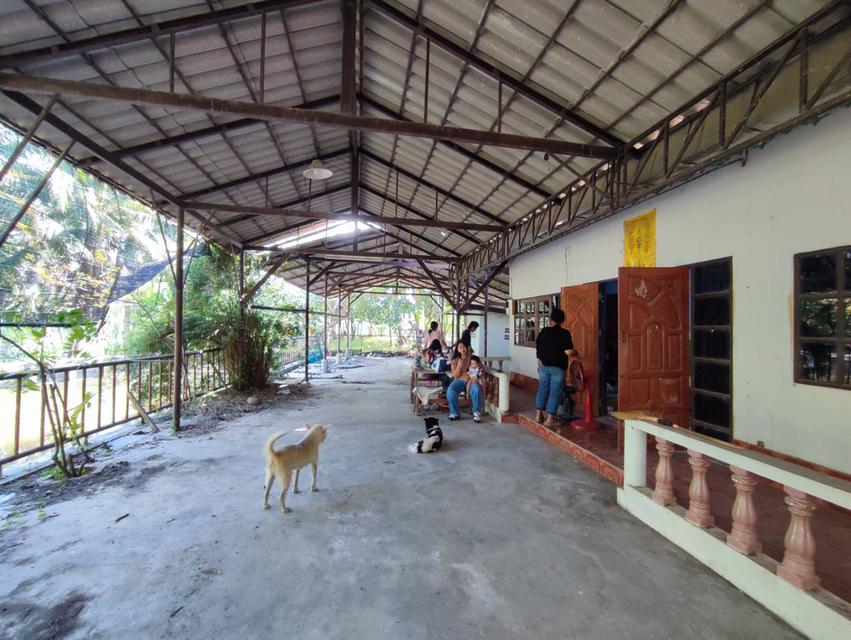 ที่ดินสวนพร้อมบ้าน บ้านเเพ้ว 13