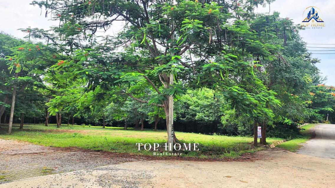 ขายด่วน! ที่ดินแปลงมุม วิวภูเขา | มวกเหล็กวัลเลย์ สระบุรี 🔥 🌿 แปลงสวย ถมแล้ว บรรยากาศดี เป็นส่วนตัว — พร้อมสร้างบ้านพักตากอากาศในฝัน 9