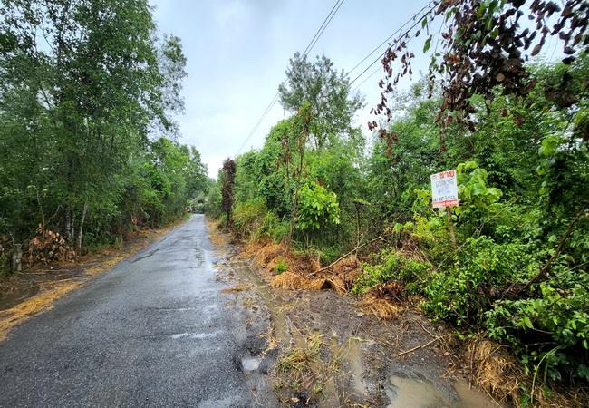 ขายที่ดิน โครงการราชประชา ถนนมิตรภาพ ตําบลปากช่อง อําเภอปากช่อง นครราชสีมา 3