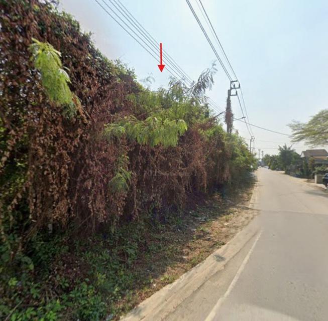 ขายที่ดิน 5-3-29.1 ไร่ ติดถนนอัจฉริยะประสิทธิ์ 1 ใกล้เซ็นทรัล เวสต์วิลล์ 3