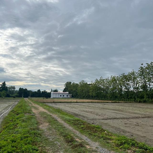 ที่ดิน เจ้าของขายเอง ปี 2569 5