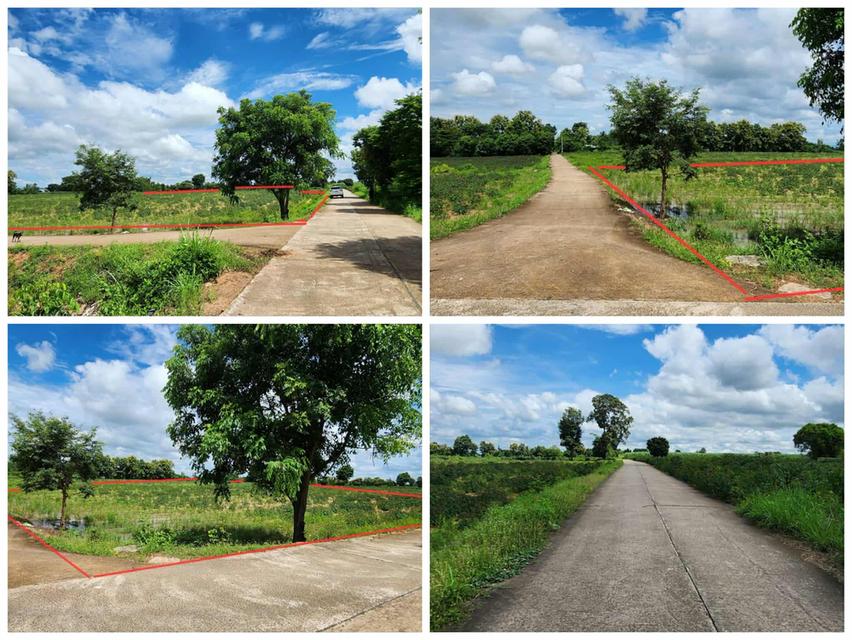 ที่ดินทำเล ท่องเที่ยว เขาสวนกวาง แลนด์มาร์คของคนขอนแก่น   2