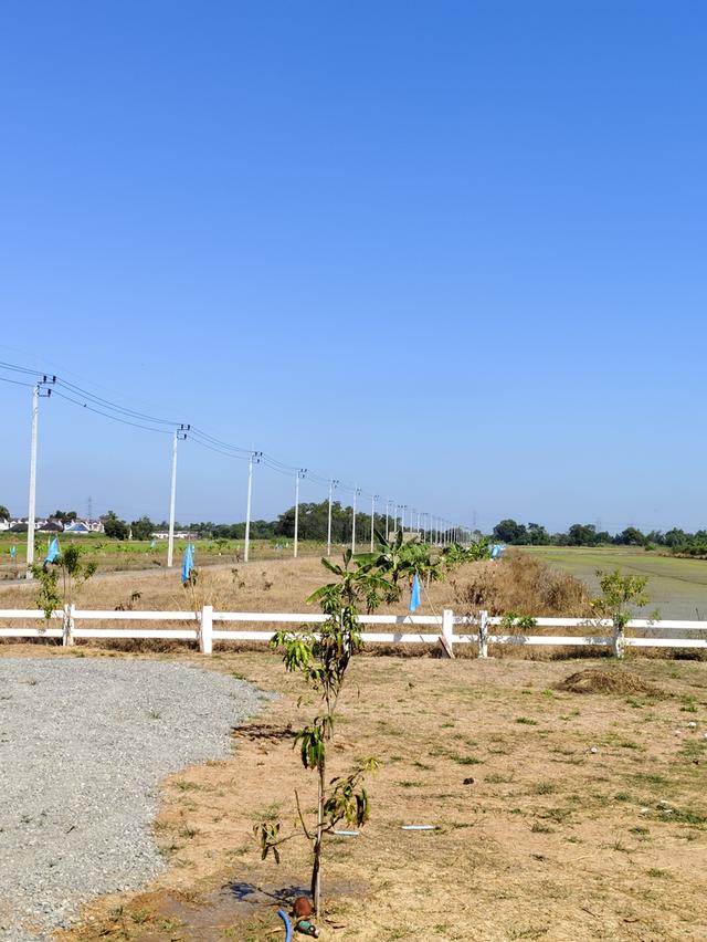 ขายที่ดินสวยหนองจอก กทม ถมแล้วมีน้ำมีไฟฟ้า ตัดแปลงเริ่มต้น 100 ตรว 2