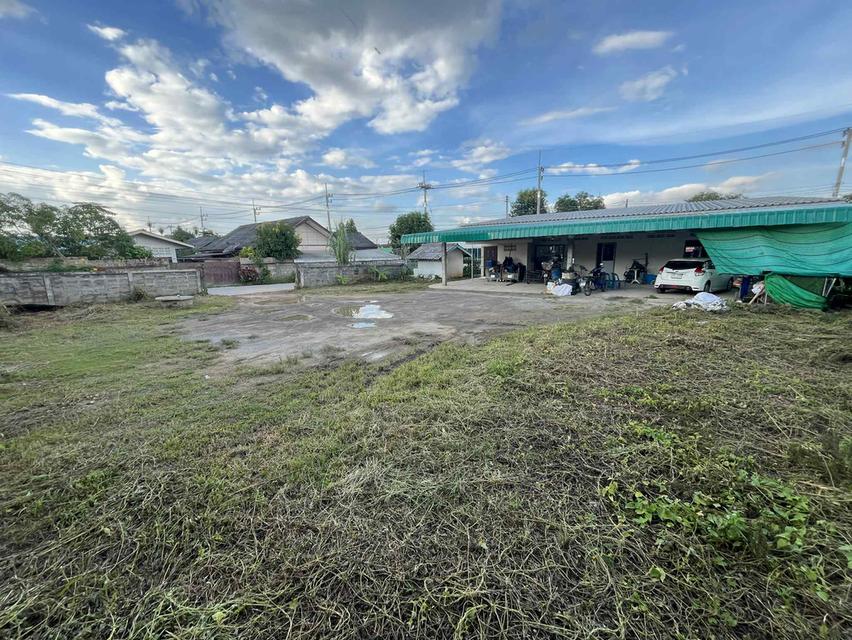 อสังหาริมทรัพย์ ที่ดิน ตึกพานิชย์ 6