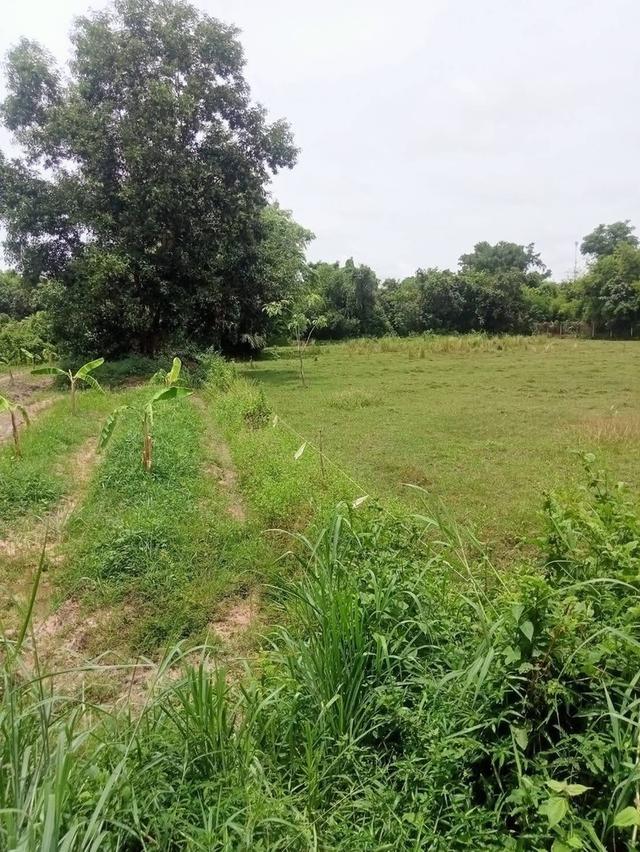 ที่ดิน อำเภอเมืองนครนายก 3