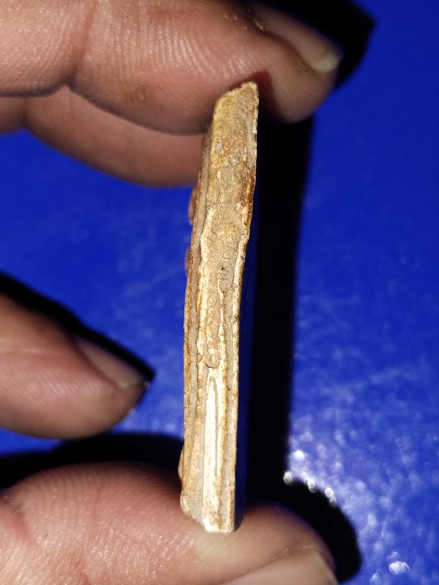 พระสมเด็จฯวัดระฆังพิมใหญ่ 4