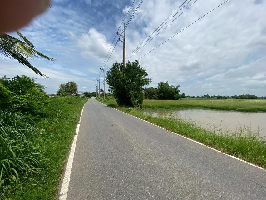 ขายที่ดิน 8 ไร่ อยู่ถนนสายเอเซีย อ. อินทร์บุรี จ. สิงห์บุรี 2