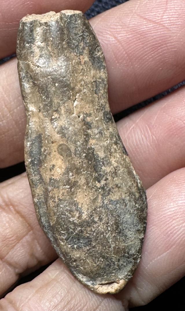 พระลีลากลีบจำปา พระหักเดิม 7