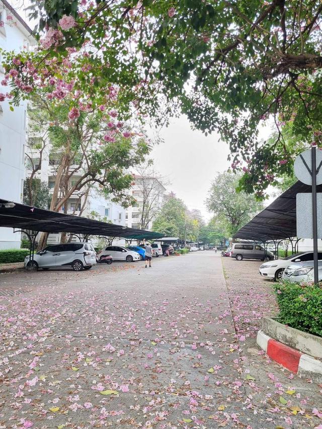 คอนโดบ้านสวนธนศรีนครินทร์ 4