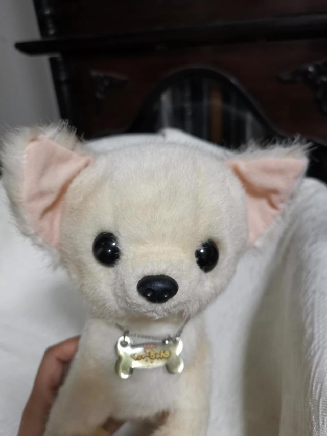 cute dog Chihuahua doll 7