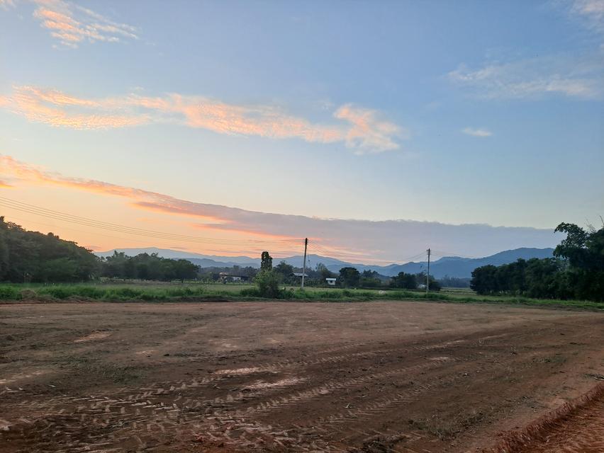 ที่ดินก่อนถึงสิงค์ปาร์ค 3