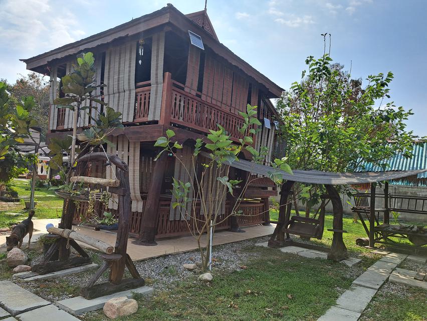 ขายบ้านสวนบนเนื้อที่1ไร่1งาน39ตรว. 6