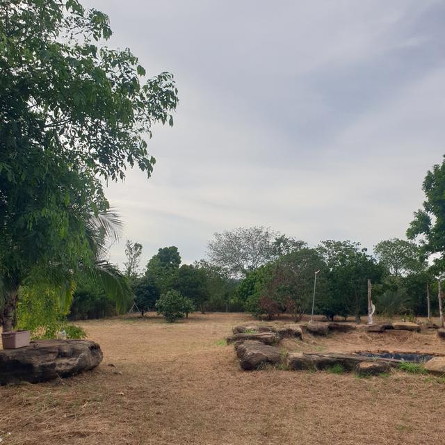 ที่ดินพร้อมบ้าน 11