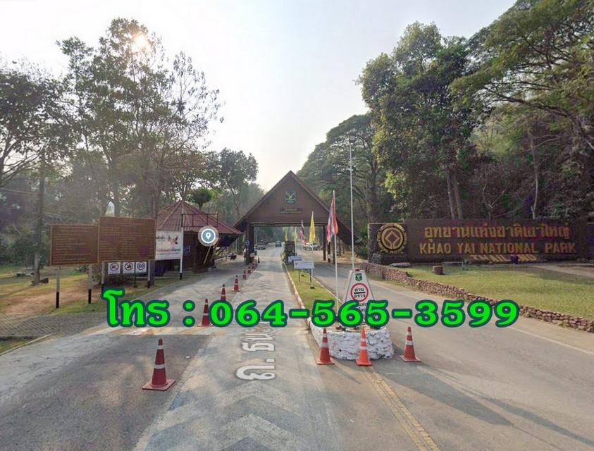 ขายที่ดินใกล้เขาใหญ่ 432 ตร.วา ใกล้ถนนธนะรัชต์ ตำบลหมูสี ปากช่อง นครราชสีมา 3 นาที ถึงทางขึ้นเขาใหญ่ 5