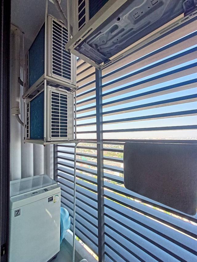 ปล่อยเช่า คอนโดเซียล่า ศรีปทุม 5