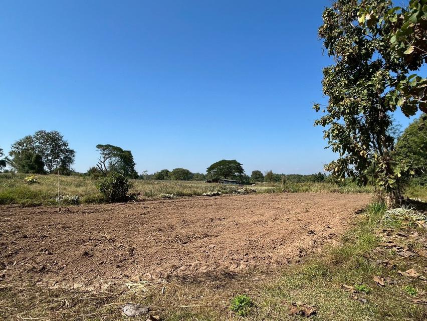 ขายที่ดินถูกกว่าราคาประเมิน 10