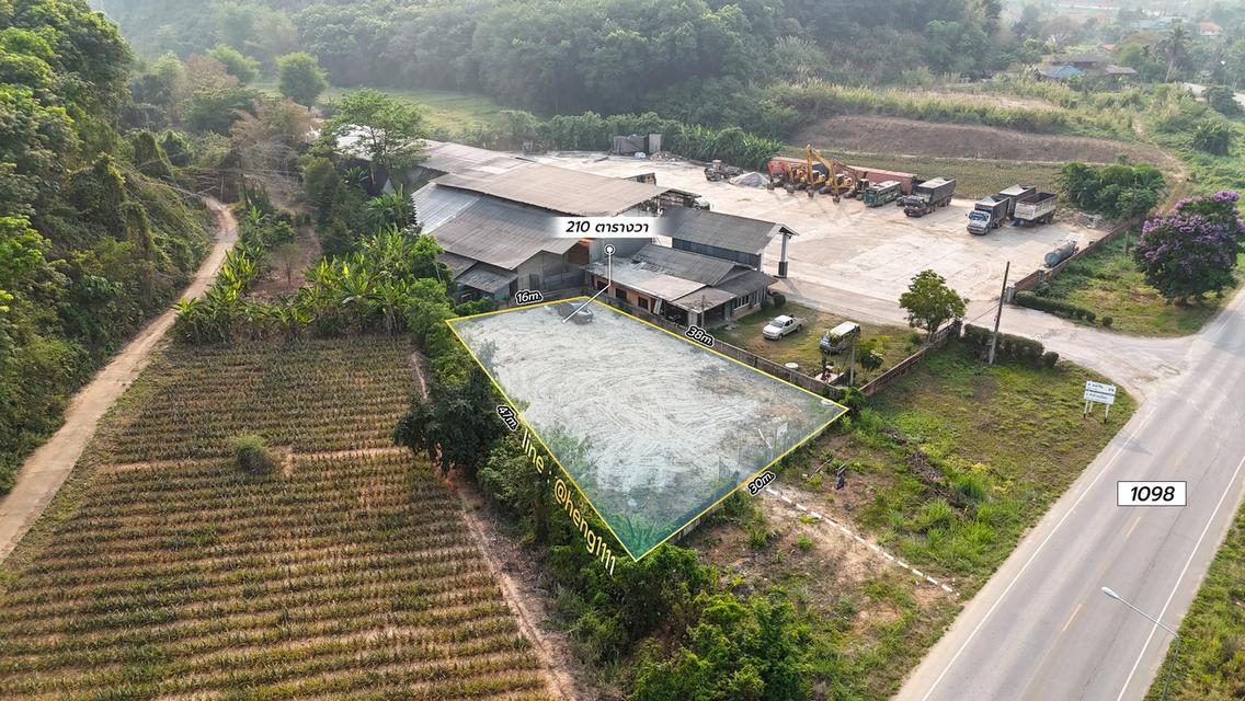 ขายด่วน ที่ดินติดทางหลวง 1098 ท่าข้าวเปลือก แม่จัน เชียงราย 210 ตร.ว. รูปทรงถุงเงินถุงทอง 11