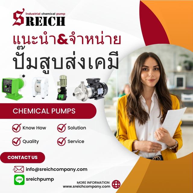 ปั๊มโดสฟอร์มาลีน ทนการกัดกร่อน แรงดันสูง 023223188
