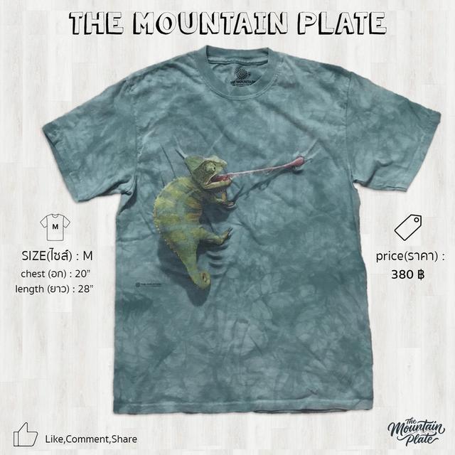 เสื้อยืด The Mountain