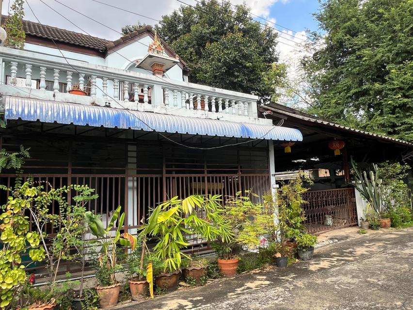 ที่ดิน 50 ตรว.พร้อมทาวน์เฮ้าส์ 2 ชั้น 1