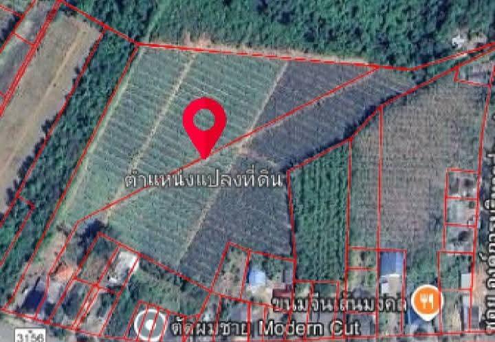 ขายที่ดิน แถมบ้าน แถมต้นยาง1000ต้น 1