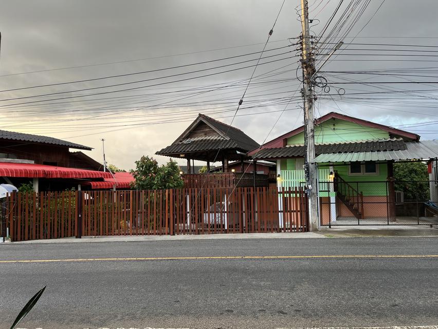 บ้านพร้อมที่ดินเชียงใหม่ 5