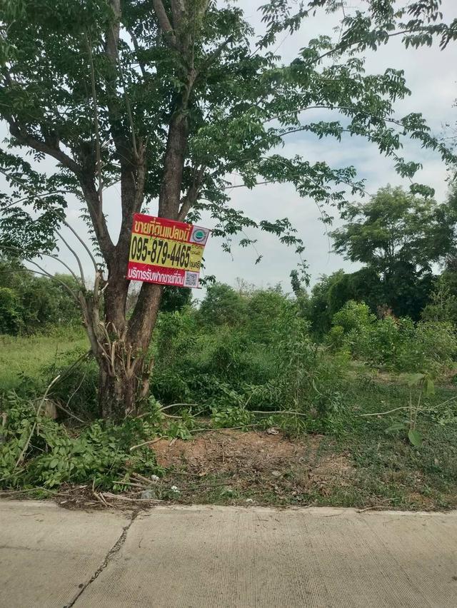 ขายด่วนที่ดินใกล้วัดสโมสร 100 ตรว ติดถนนสาธารณะ ถมแล้ว บึงบอน7 หนองเสือ ปทุมธานี 3