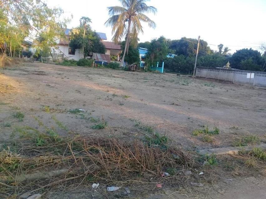 ที่ดิน สุโขทัย