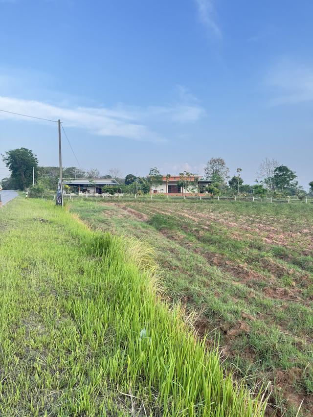 ที่ดินเปล่าพื้นที่ตำบลท่าพระ อำเภอเมือง ขอนแก่น 4
