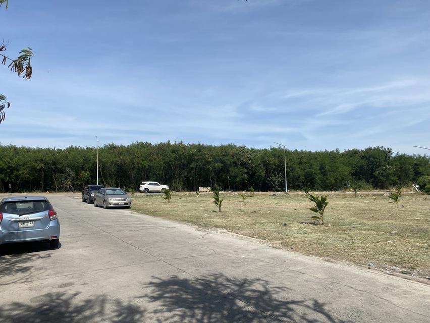 ขายที่ดิน ใกล้โรงพยาบาลศูนย์มะเร็ง ชลบุรี ติดถนน 2 ฝั่ง 1