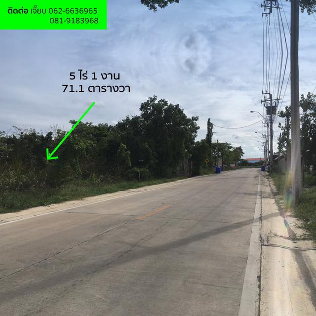 ที่ดิน 5 ไร่ ย่านลาดกระบัง - สุวรรณภูมิ 6