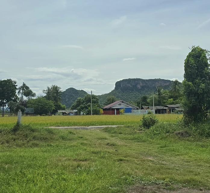 ที่ดินเปล่าเมืองราชบุรี วิววัดหนองหอย ติดลาดยาง ฝนชุมชน 1