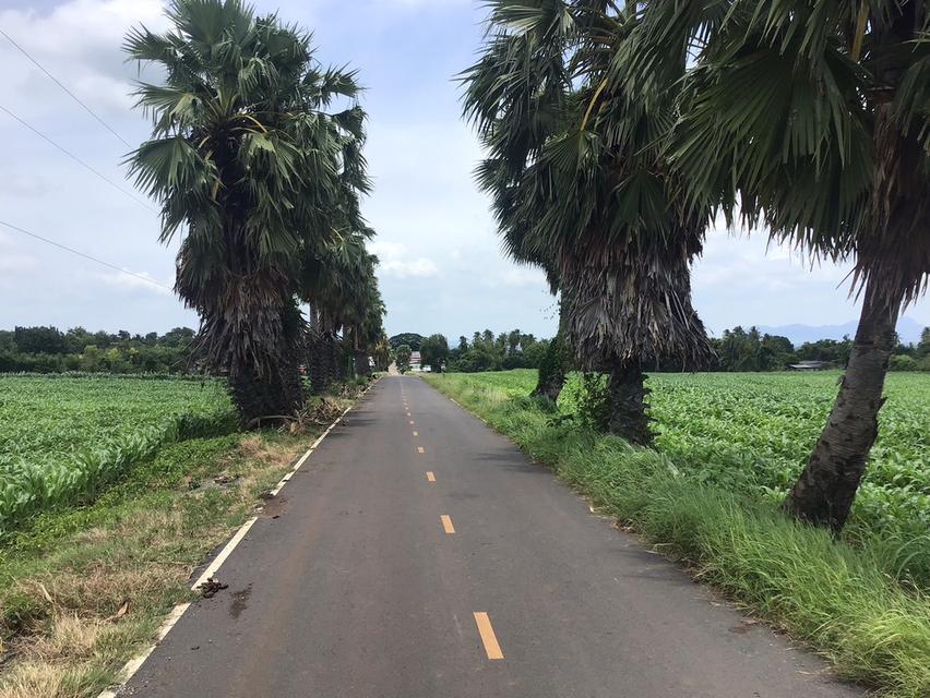ขายที่ดิน โฉนดครุฑแดง ขนาด 48 ไร่  5