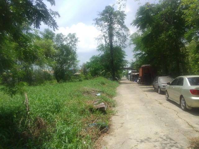 1 ขาย ที่ดิน ที่ดินใกล้ชุมชน รามดินทรา มีนบุรี กรุงเทพ 10314000 บาท 5