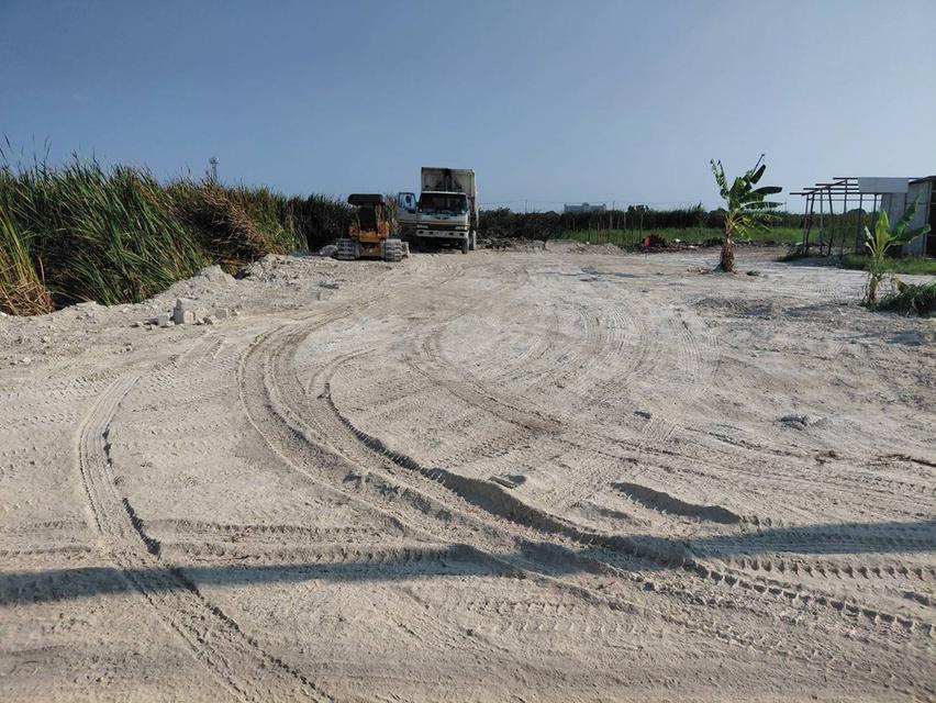 ขายที่ดิน ลาดกระบังคุ้มเกล้า 6