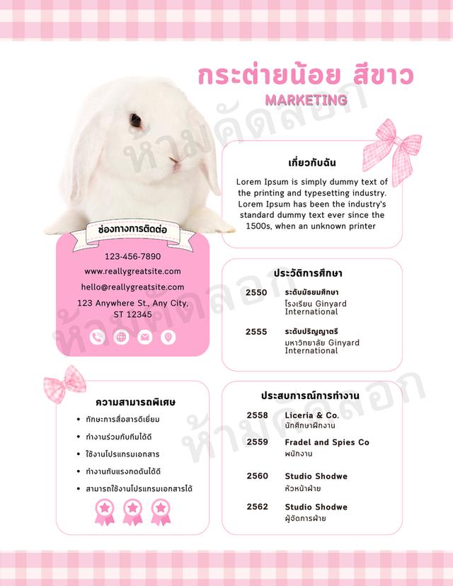 รับออกแบบ RESUME 7