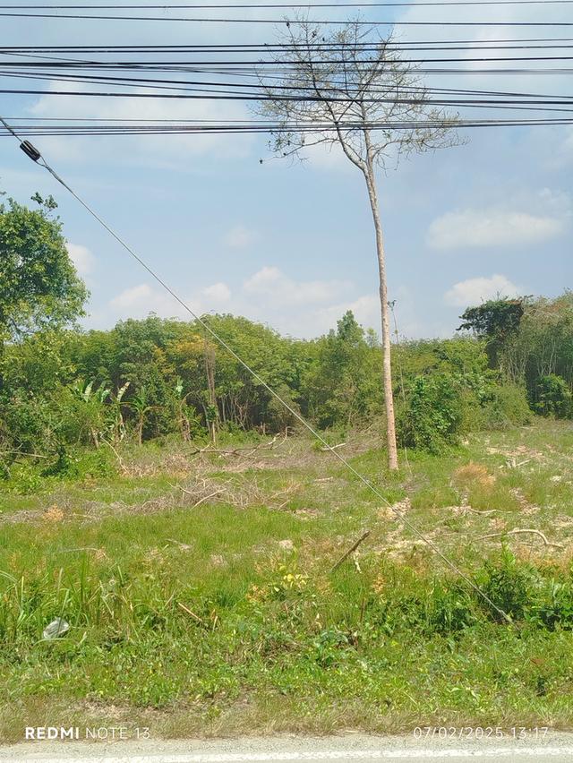 ที่ดิน