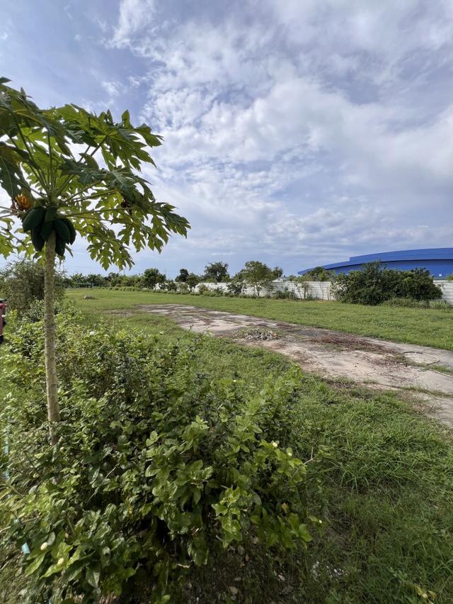 ขาย ที่ดินสีม่วง 2-2-8 ไร่ ถมแล้ว ติดถนน ใกล้นิคมเวลโกรว์ 2