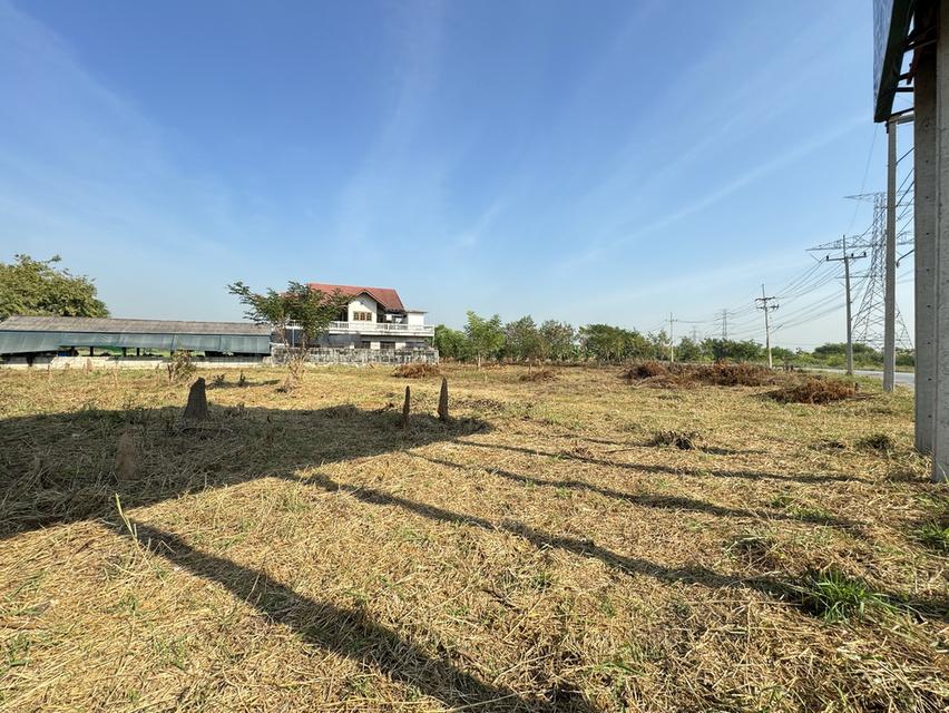 ขายที่ดินสวย ติดถนนสายสุพรรณบุรี-บางบัวทอง 4