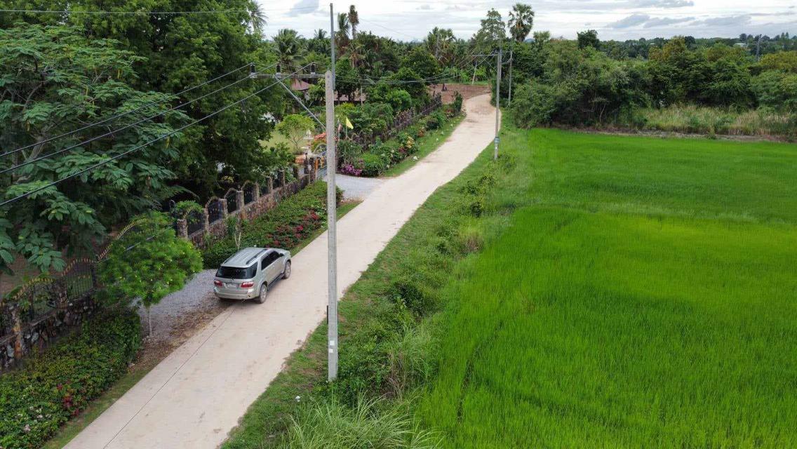 ที่ดินว่างเปล่า 1