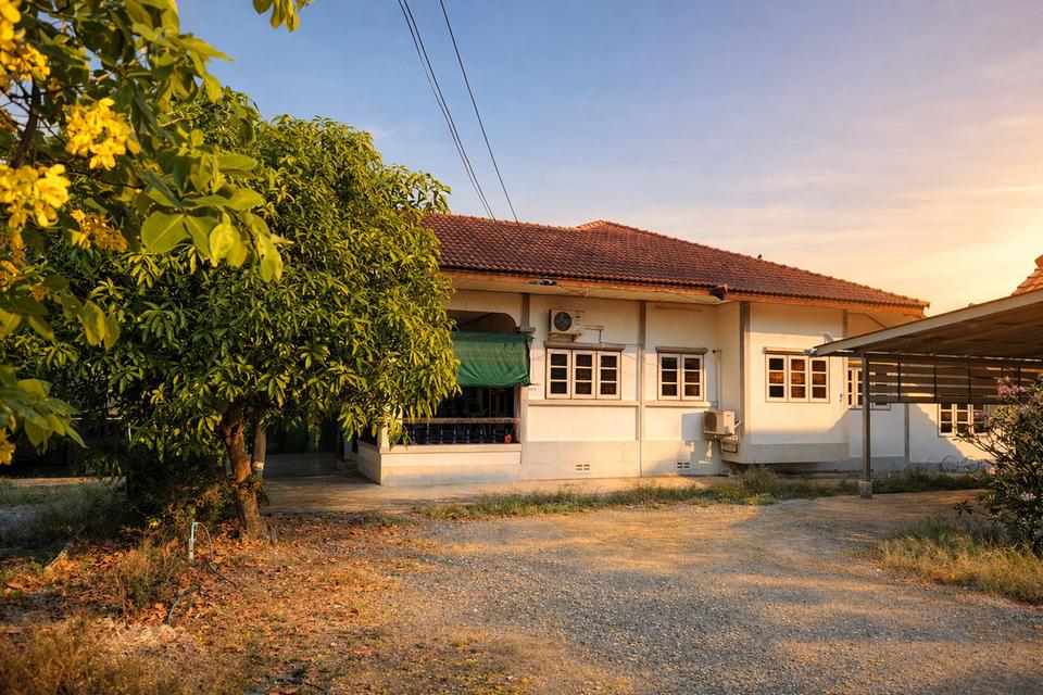 ขายบ้านสวนพร้อมที่ดิน 2