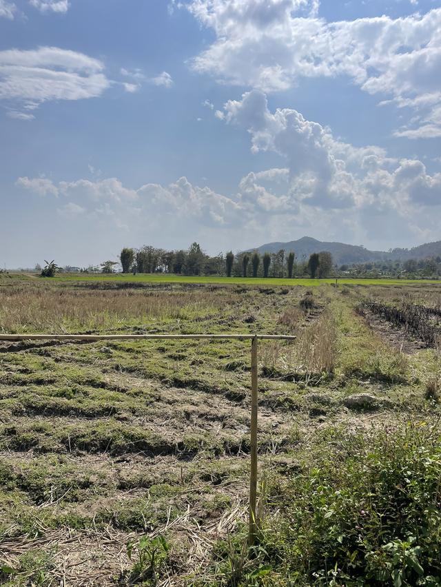 ที่ดินเชียงราย 5 ไร่ 1